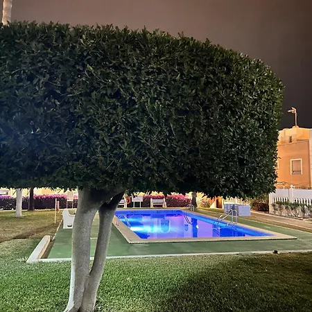 054 Sun Olive Apartment-alicante Apartment